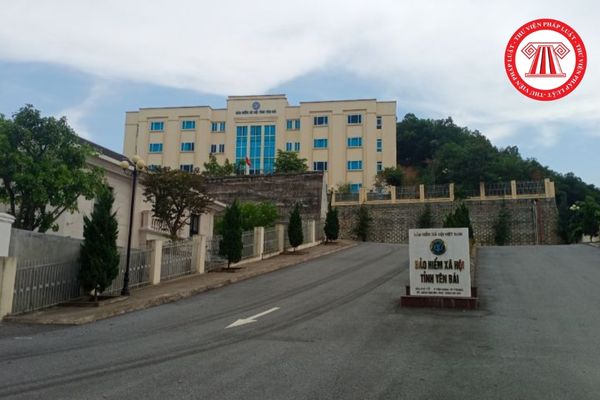 Pháp luật