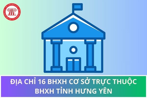 Pháp luật