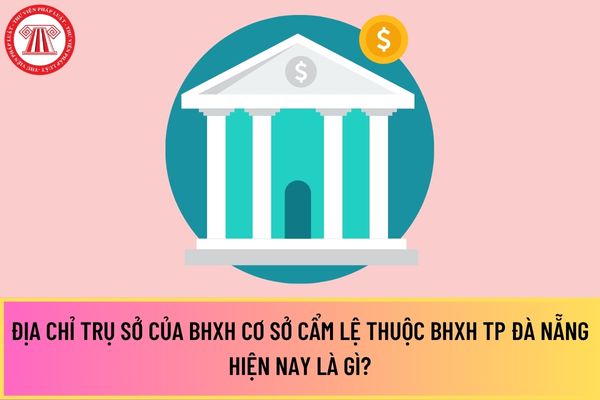 Pháp luật