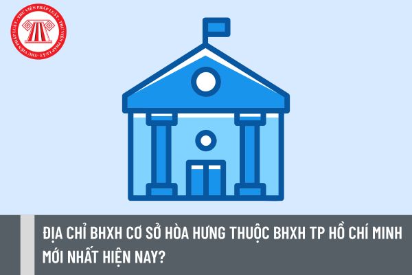 Pháp luật