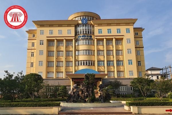 Pháp luật