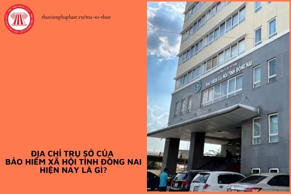Pháp luật