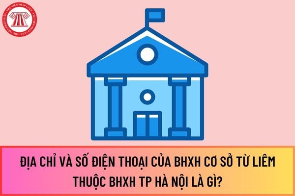 Pháp luật