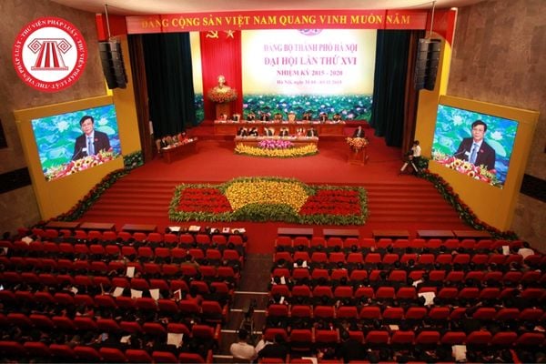 Pháp luật