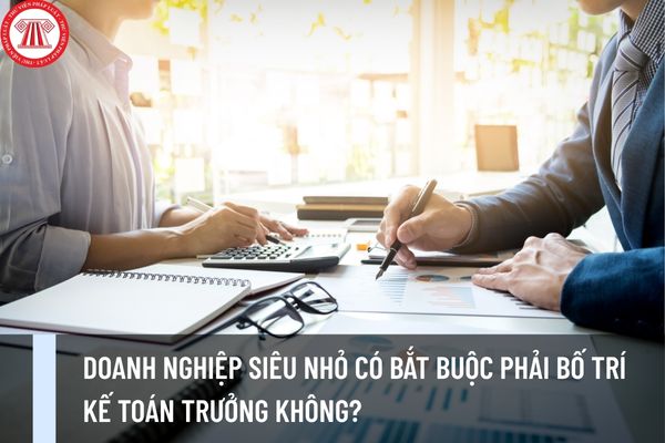 Doanh nghiệp siêu nhỏ có bắt buộc phải bố trí kế toán trưởng không?