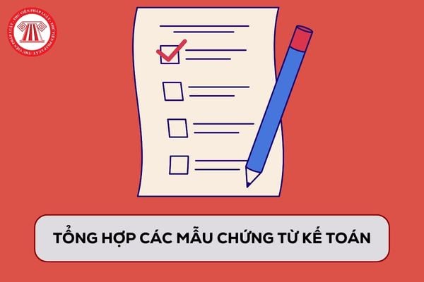 Pháp luật