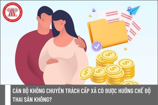 Pháp luật