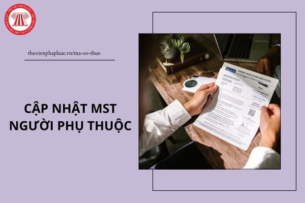 Pháp luật