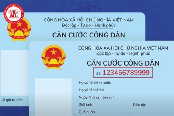 Pháp luật