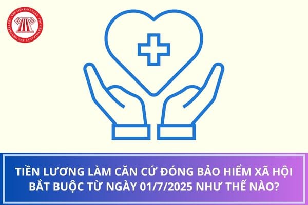 Pháp luật