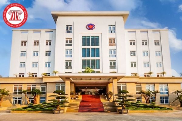 Pháp luật
