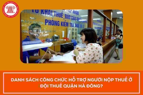 Pháp luật