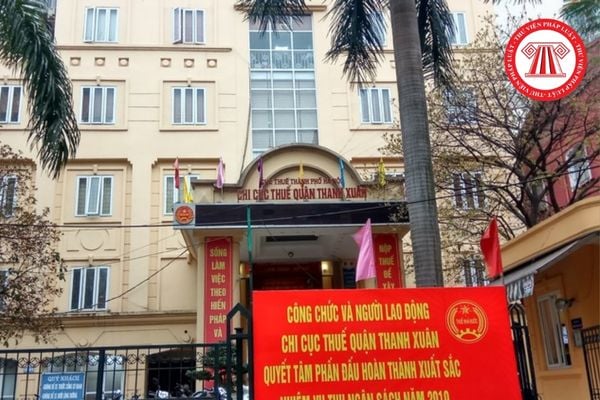 Pháp luật