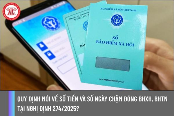 Pháp luật