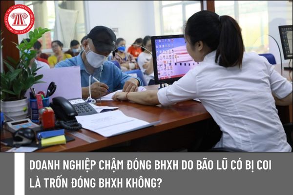 Pháp luật