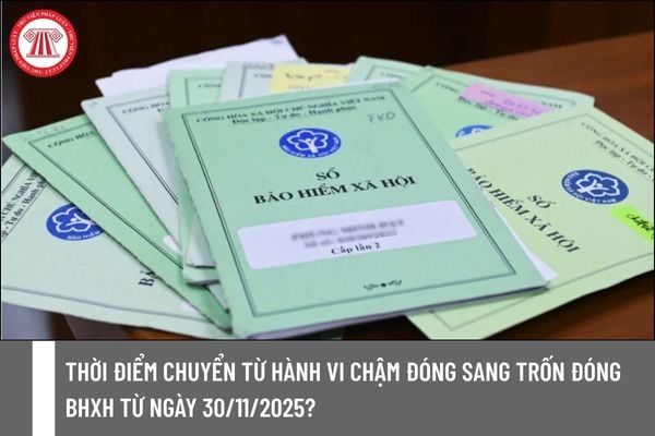 Pháp luật