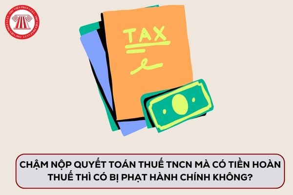 Pháp luật