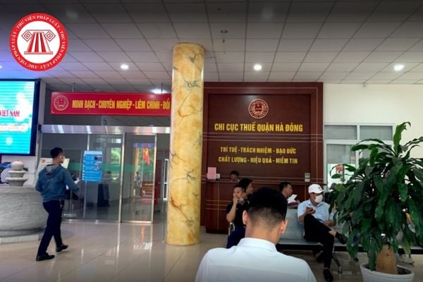 Pháp luật