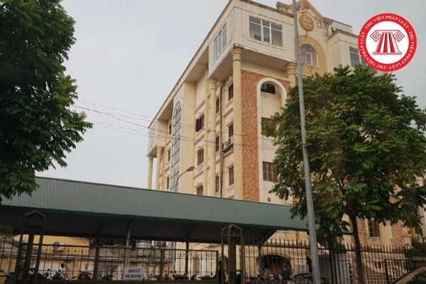 Pháp luật