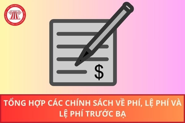 Pháp luật