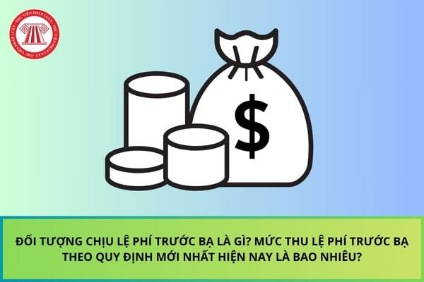 Pháp luật