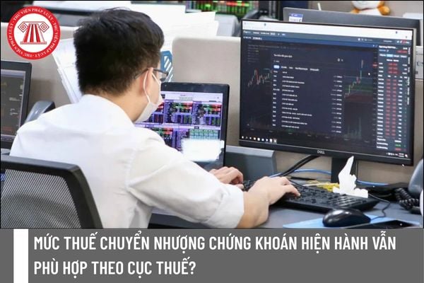 Pháp luật
