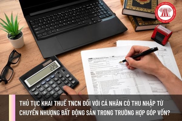 Pháp luật