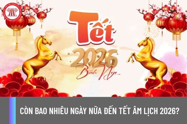 Còn bao nhiêu ngày nữa đến tết Âm lịch 2026? Thuế điện tử nộp vào ngày tết Âm lịch được không?