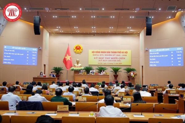 Pháp luật
