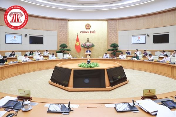 Pháp luật