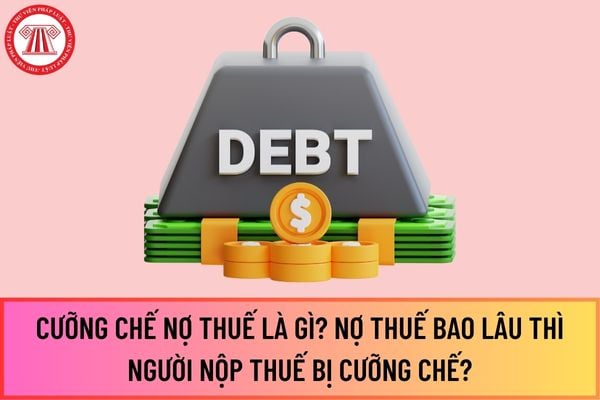 Pháp luật