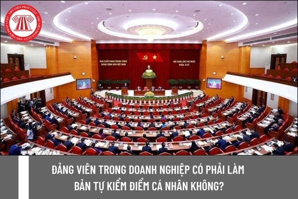 Đảng viên trong Doanh nghiệp có phải làm bản tự kiểm điểm cá nhân không?