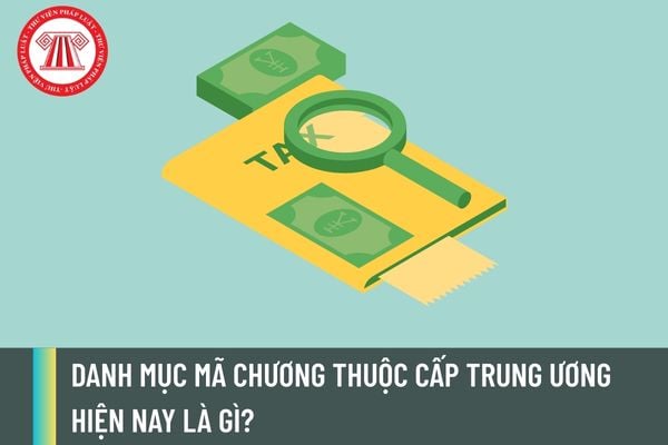 Pháp luật