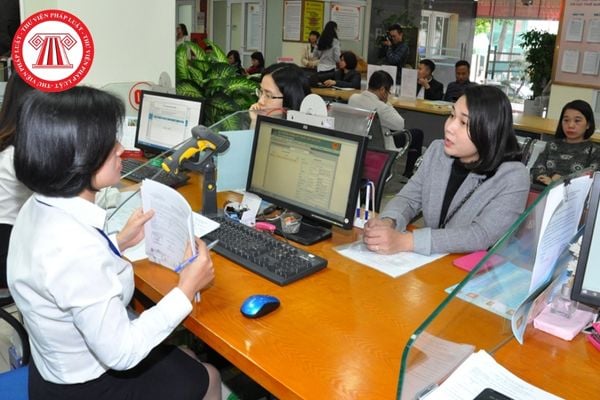 Pháp luật