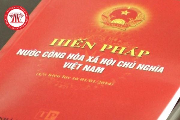 Pháp luật
