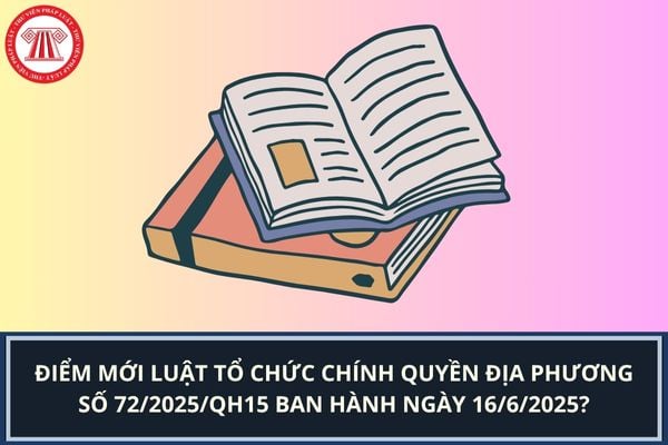 Pháp luật