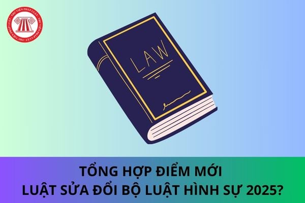 Pháp luật
