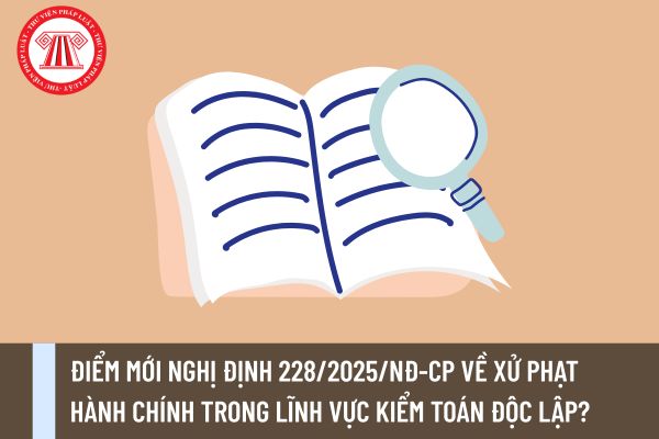 Pháp luật