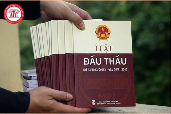 Pháp luật