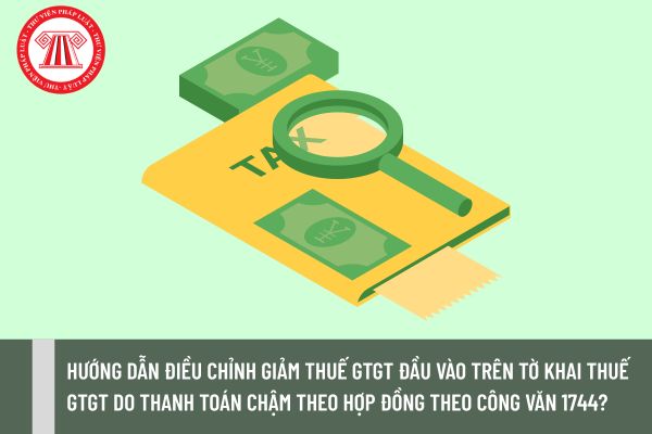 Pháp luật