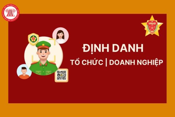Pháp luật