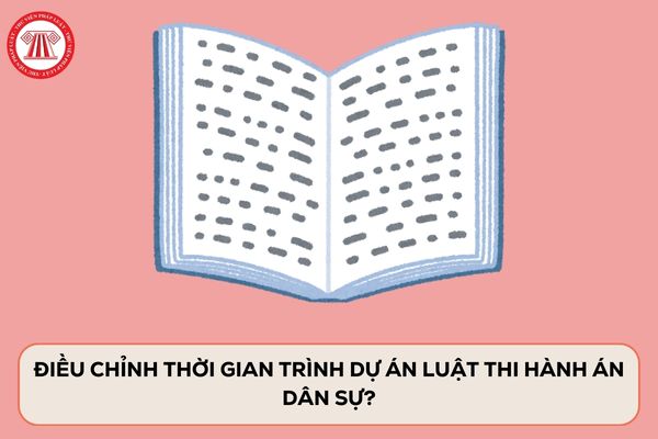 Pháp luật