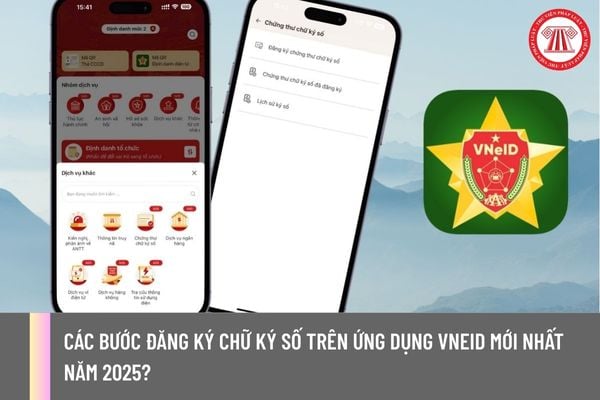 Pháp luật