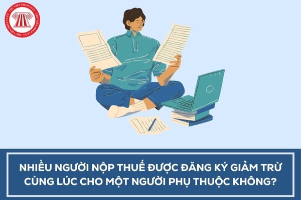 Pháp luật
