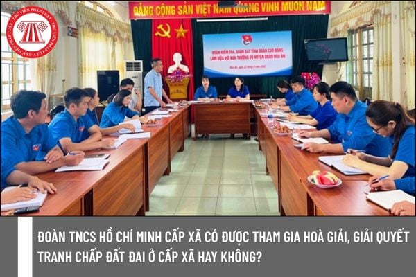 Pháp luật