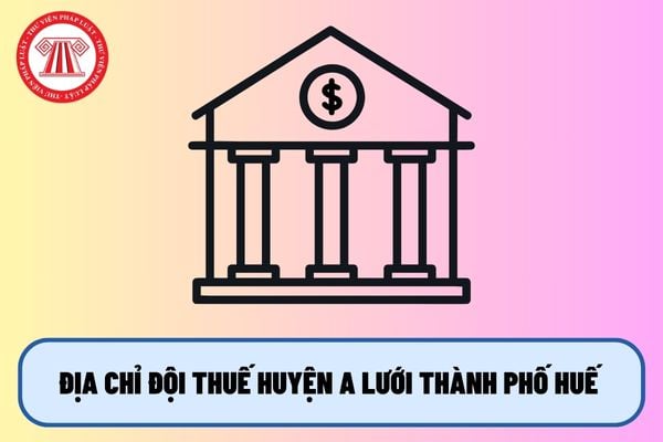 Pháp luật