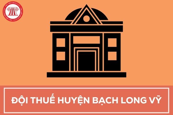 Pháp luật
