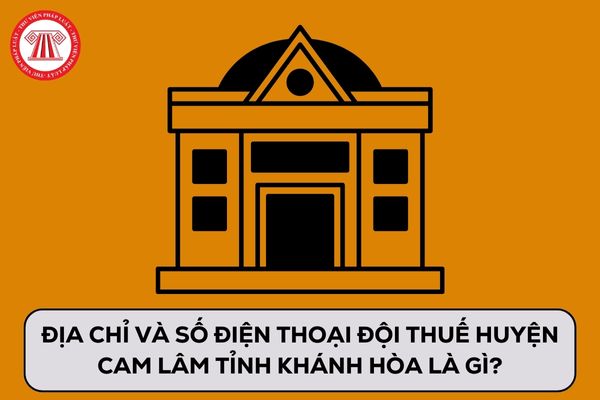 Pháp luật