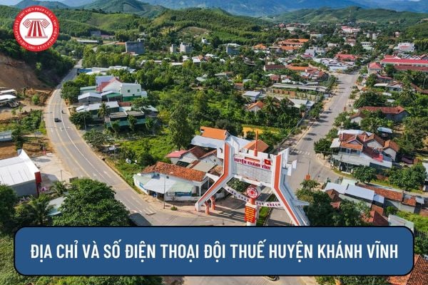 Pháp luật