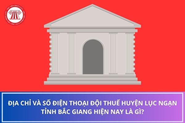 Pháp luật